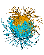 Image of Earth's Magnetic Field Lines